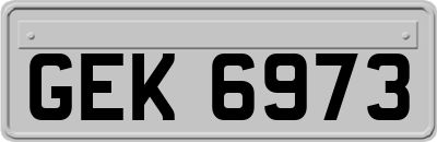 GEK6973