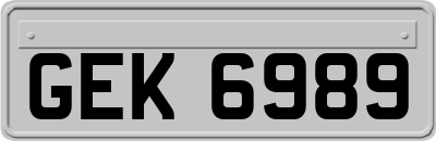 GEK6989