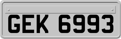 GEK6993