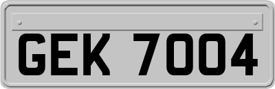 GEK7004