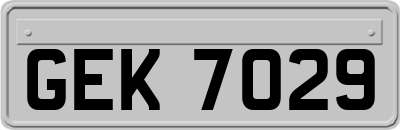 GEK7029