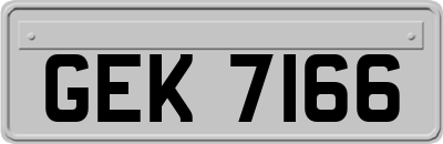 GEK7166