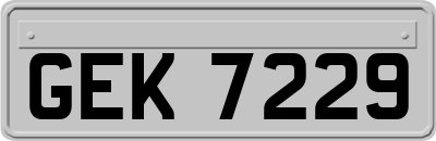 GEK7229