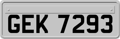 GEK7293