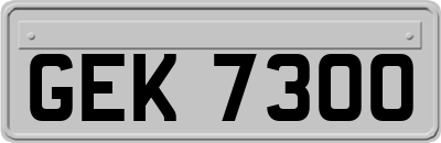 GEK7300