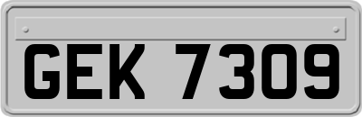 GEK7309