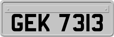 GEK7313