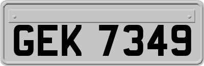 GEK7349