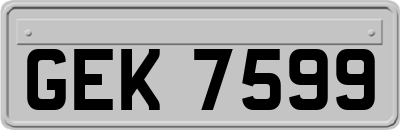 GEK7599