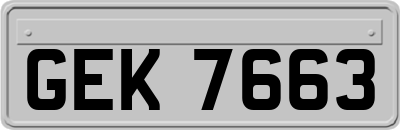GEK7663