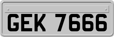 GEK7666