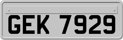 GEK7929