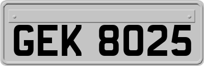GEK8025