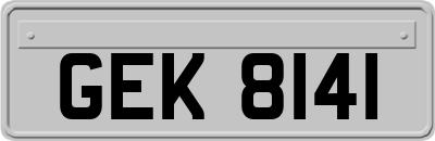 GEK8141