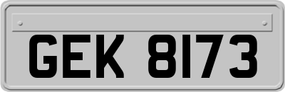 GEK8173