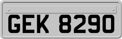 GEK8290
