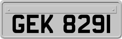 GEK8291
