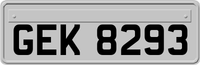 GEK8293