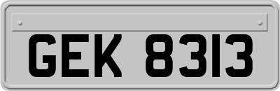 GEK8313