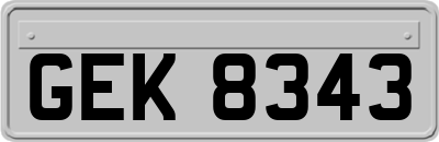 GEK8343