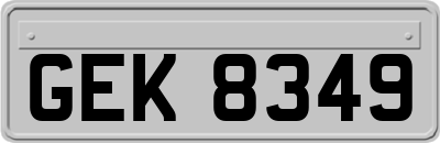 GEK8349