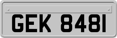 GEK8481