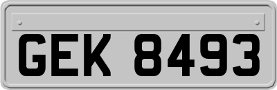 GEK8493