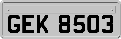 GEK8503