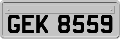 GEK8559