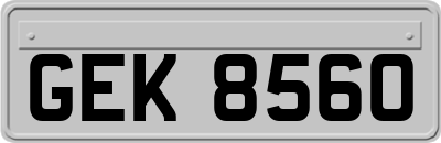GEK8560