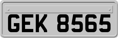 GEK8565