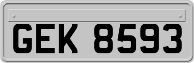 GEK8593