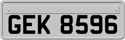 GEK8596