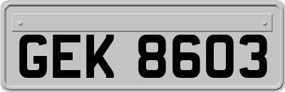 GEK8603