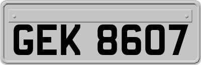 GEK8607