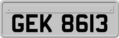 GEK8613