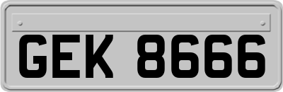 GEK8666