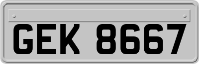 GEK8667