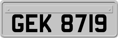 GEK8719