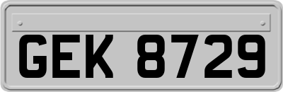 GEK8729
