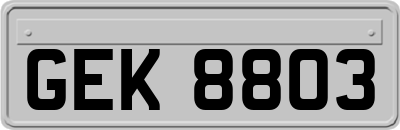 GEK8803