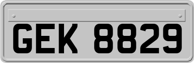 GEK8829