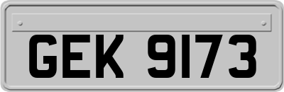 GEK9173