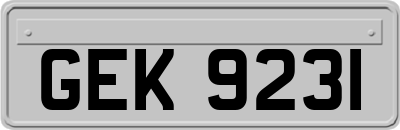 GEK9231