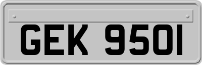 GEK9501