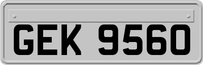 GEK9560