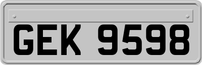 GEK9598