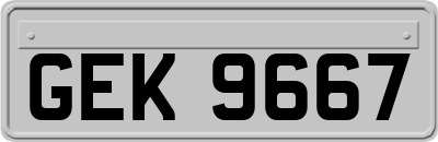 GEK9667