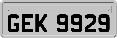 GEK9929