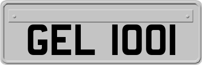 GEL1001